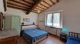 Toscana Immobiliare - Property with holiday farm and vineyard for sale in Sinalunga Tuscany