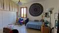 Toscana Immobiliare - Property with holiday farm and vineyard for sale in Sinalunga Tuscany