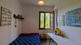 Toscana Immobiliare - Property with holiday farm and vineyard for sale in Sinalunga Tuscany
