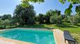 Toscana Immobiliare - Podere con agriturismo vigneto e oliveto vendita Sinalunga Siena Toscana