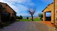 Toscana Immobiliare - Externally, the house is surrounded by approximately 5000 sqm of land with garden, olive grove and arable land