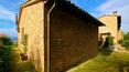 Toscana Immobiliare - Das Haus ist von einem ca. 5000 qm großen Grundstück mit Garten, Olivenhain und Ackerland umgeben