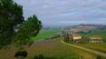 Toscana Immobiliare - A l'extérieur, la maison est entourée d'un terrain d'environ 5000 m² avec jardin, oliveraie et terres arables