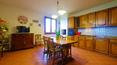 Toscana Immobiliare - Proprietà con terreno in vendita in collina in Toscana