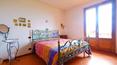 Toscana Immobiliare - House in Tuscany