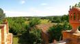 Toscana Immobiliare - Ferme de prestige avec jardin, piscine et vignoble à vendre en Toscane
