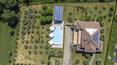 Toscana Immobiliare - Villa with swimming pool and olive grove for sale in Valdichiana