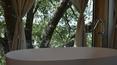 Toscana Immobiliare -