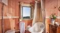 Toscana Immobiliare -