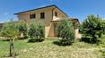 Toscana Immobiliare - Villa mit Swimmingpool und Olivenhain im Valdichiana zu verkaufen