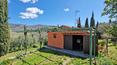 Toscana Immobiliare - Restored rustic farmhouse for sale in Umbria