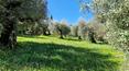 Toscana Immobiliare - Ferme rustique restaurée à vendre en Ombrie