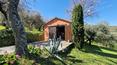 Toscana Immobiliare - Restored rustic farmhouse for sale in Umbria