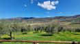 Toscana Immobiliare - Restauriertes rustikales Bauernhaus zum Verkauf in Umbrien
