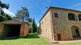 Toscana Immobiliare - Casa de campo con piscina y terreno en venta en la campiña toscana