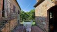 Toscana Immobiliare - Casa de campo con piscina y terreno en venta en la campiña toscana