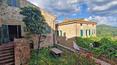 Toscana Immobiliare - Terratetto in pietra in vendita a Trequanda Siena