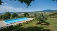 Toscana Immobiliare - The property is embellished by a 6x12 m panoramic swimming pool