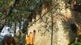 Toscana Immobiliare - La proprietà è impreziosita da una grande piscina con vista su centro storico di Arezzo