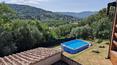Toscana Immobiliare - Villa to renovate with annexe, park and swimming pool for sale on a hillside in Arezzo, Tuscany