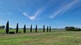 Toscana Immobiliare - Agritourism for sale in Cortona with swimming pool and restaurant