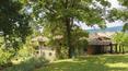 Toscana Immobiliare - Charming farmhouse with pool for sale in Val d'Orcia, Tuscany