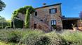 Toscana Immobiliare - The garden has fruit trees, olive trees, evergreen plants and flowers, as well as a very large wisteria on the terrace