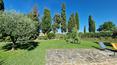 Toscana Immobiliare - Il giardino ospita piante da frutto, olivi, piante sempreverdi e fiori, oltre a un grandissimo glicine sulla terrazza