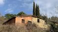 Toscana Immobiliare - The property is completed by land of approximately 180 hectares