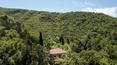 Toscana Immobiliare - La proprietà è completata da un terreno di circa 180 ettari