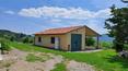 Toscana Immobiliare - Casale in pietra con tre camere, un bagno, un annesso agricolo e 30 ha di terreno