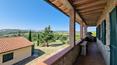 Toscana Immobiliare - The property includes about 30 hectares of land, consisting of olive grove, forest, arable land and park with ornamental plants and fruit trees