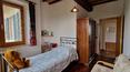 Toscana Immobiliare - Cortijo de piedra con tres habitaciones, un baño, un anexo agrícola y 30 ha de terreno