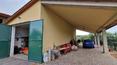 Toscana Immobiliare - Encantadora casa de piedra y ladrillo con anexo y 30 hectáreas de terreno en venta en el campo de Montepulciano