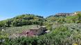 Toscana Immobiliare - Although not far from other properties, the farmhouse enjoys great tranquillity and privacy