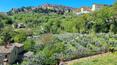 Toscana Immobiliare - Stone farmhouse from the 1500s for sale in a panoramic position a few steps from Montepulciano, Tuscany