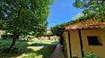 Toscana Immobiliare - Ferme toscane rénovée avec parc de 4000 m² et annexe à vendre à Foiano della Chiana, Valdichiana