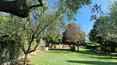 Toscana Immobiliare - Renoviertes toskanisches Bauernhaus mit 2000 qm Park und Nebengebäude zu verkaufen in Foiano della Chiana, Valdichiana