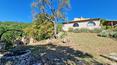 Toscana Immobiliare - The property includes land of about 14.5 ha with arable land, forest and olive grove