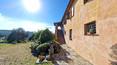 Toscana Immobiliare - Bauernhaus zu verkaufen in der prestigeträchtigen Gegend von Sarteano, Val d'Orcia