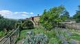 Toscana Immobiliare - The property is surrounded by 13 hectares of land, consisting of 4 hectares of olive grove and 3 hectares of arable land, while the remainder is woodland