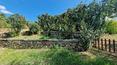 Toscana Immobiliare - Casa de campo restaurada con 3 dormitorios, 2 baños y 13 hectáreas de terreno en venta en Valdichiana, Toscana, Italia