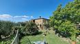 Toscana Immobiliare -  Das Anwesen ist von 13 Hektar Land umgeben, wovon 4 Hektar Olivenhaine und 3 Hektar Ackerland sind, während der Rest aus Wald besteht