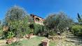 Toscana Immobiliare - Restauriertes Bauernhaus mit 3 Schlafzimmern, 2 Bädern und 13 Hektar Land zu verkaufen in Valdichiana, Toskana, Italien