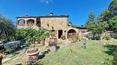 Toscana Immobiliare - The farmhouse is surrounded by the verdant Tuscan countryside