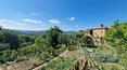 Toscana Immobiliare - El cortijo está rodeado por la verde campiña toscana