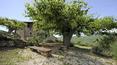 Toscana Immobiliare - Podere in vendita in Umbria