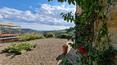 Toscana Immobiliare - Farmhouse with swimming pool and olive grove for sale in Arezzo, Tuscany