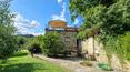 Toscana Immobiliare - Cortijo con piscina y olivar en venta en Arezzo, Toscana