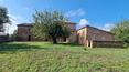 Toscana Immobiliare - Ferme à vendre près de Sienne